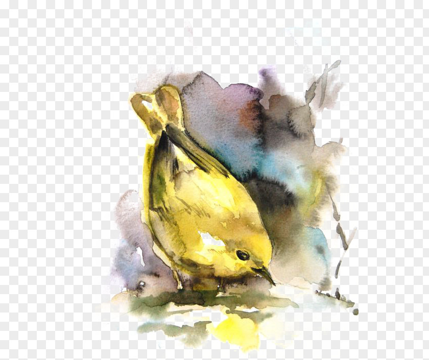 Yellow Sparrow Bird Watercolor Painting Drawing PNG