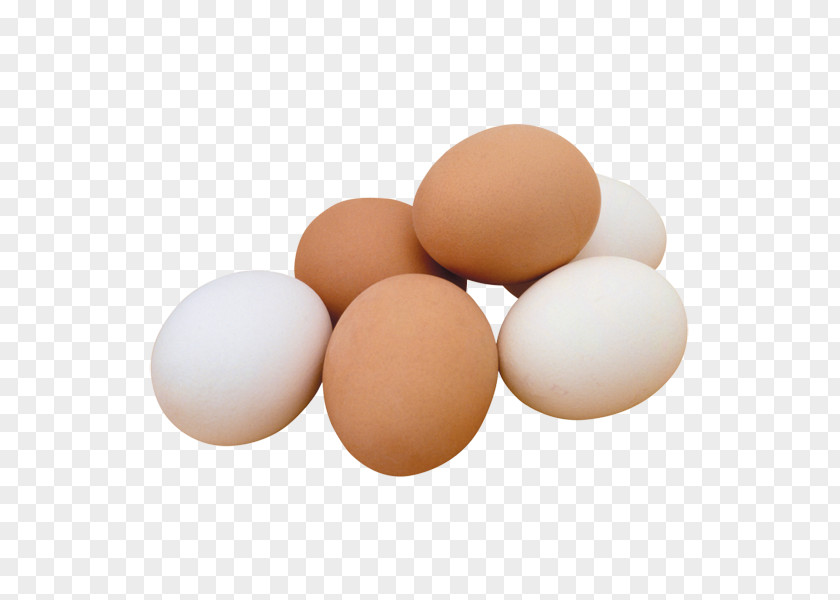 Egg Fried Clip Art PNG