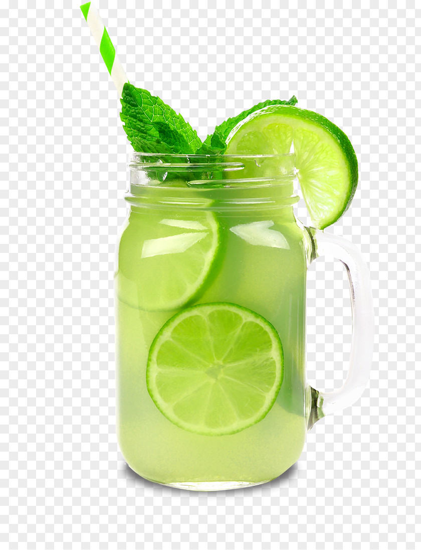 Juice Lime Key Green Lemon-lime Limonana PNG
