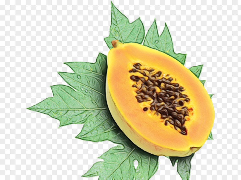 Perennial Plant Passion Fruit Green Leaf Background PNG