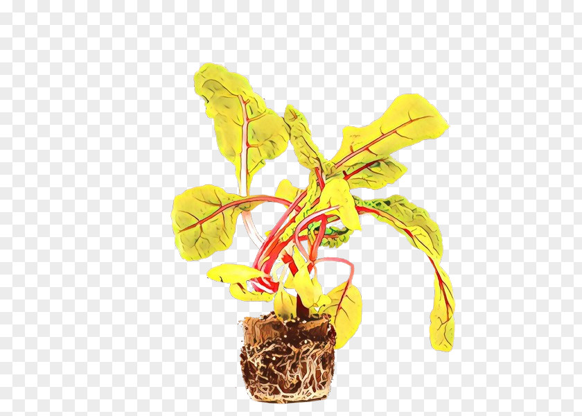 Perennial Plant Stem Flower PNG