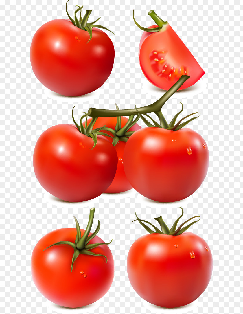 Tomato Sauce Vegetable Paste PNG