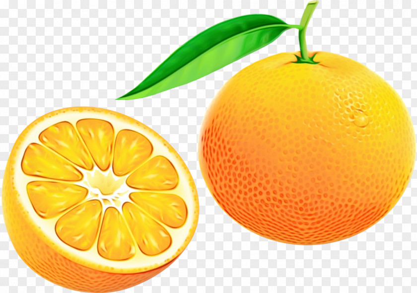Yuzu Tangerine Orange PNG