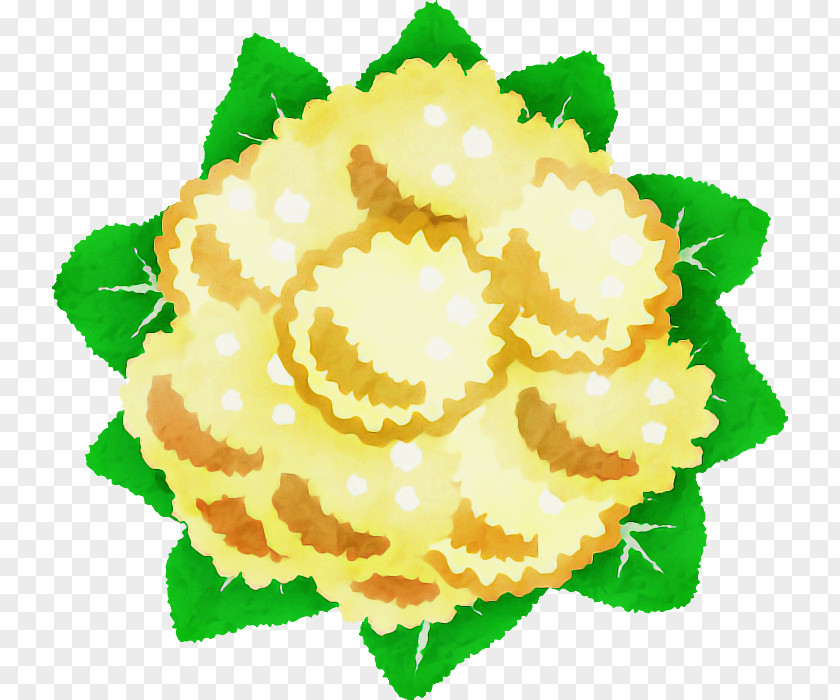 Floral Design PNG