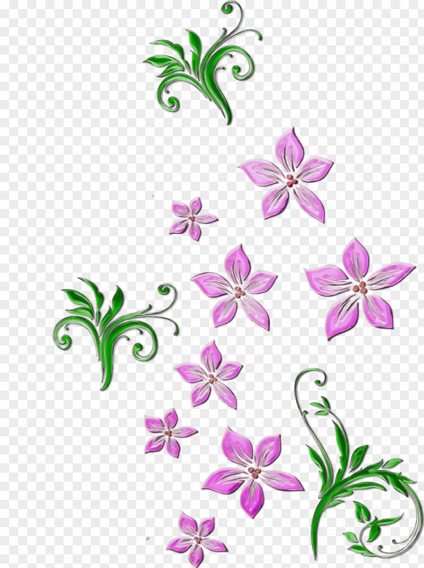 Flower Plant Pedicel Petal Wildflower PNG