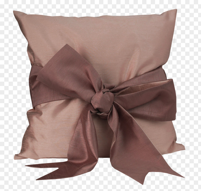 Pillow Throw Pillows Cushion Dakimakura Couch PNG