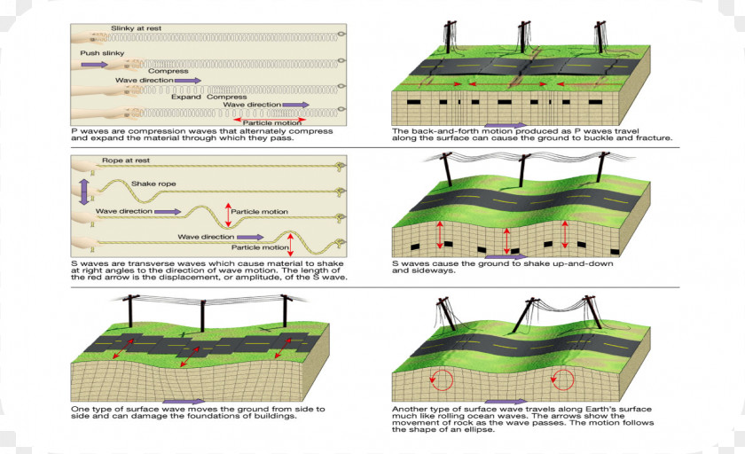 Seismic Wave Cliparts Earthquake S-wave P-wave PNG