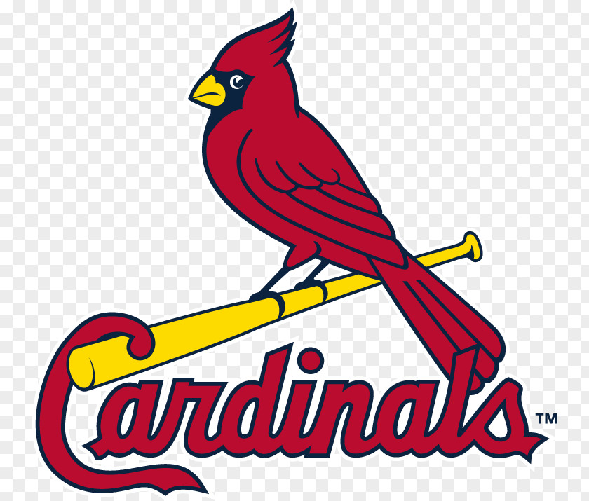 Graphic Bird Watching Busch Stadium Logos And Uniforms Of The St. Louis Cardinals MLB PNG
