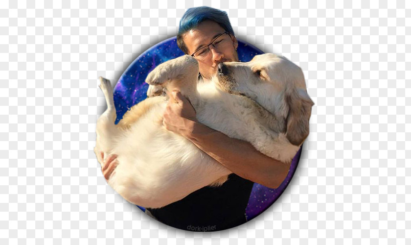 Puppy Markiplier YouTuber PNG