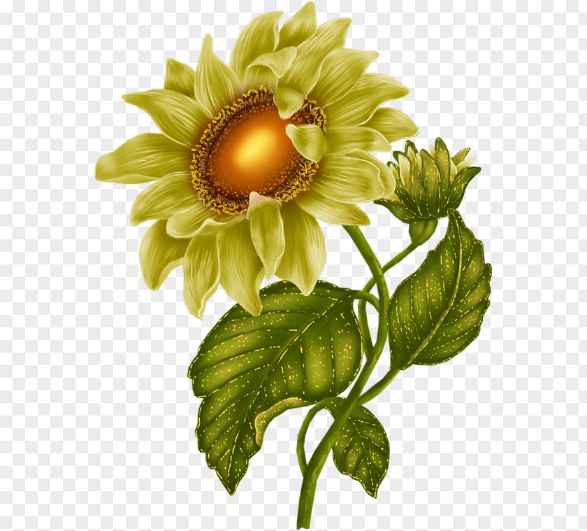 Sunflower Creative Desktop Wallpaper Clip Art PNG