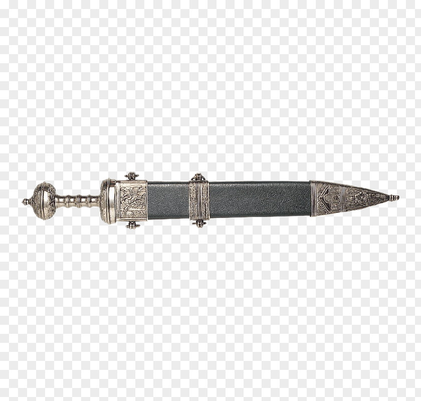 Swords Sword Weapon Dagger Gladius Scabbard PNG