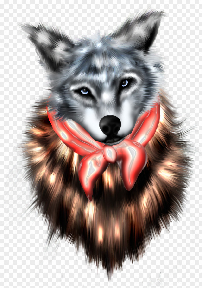 Wolf Dog Head Snout PNG