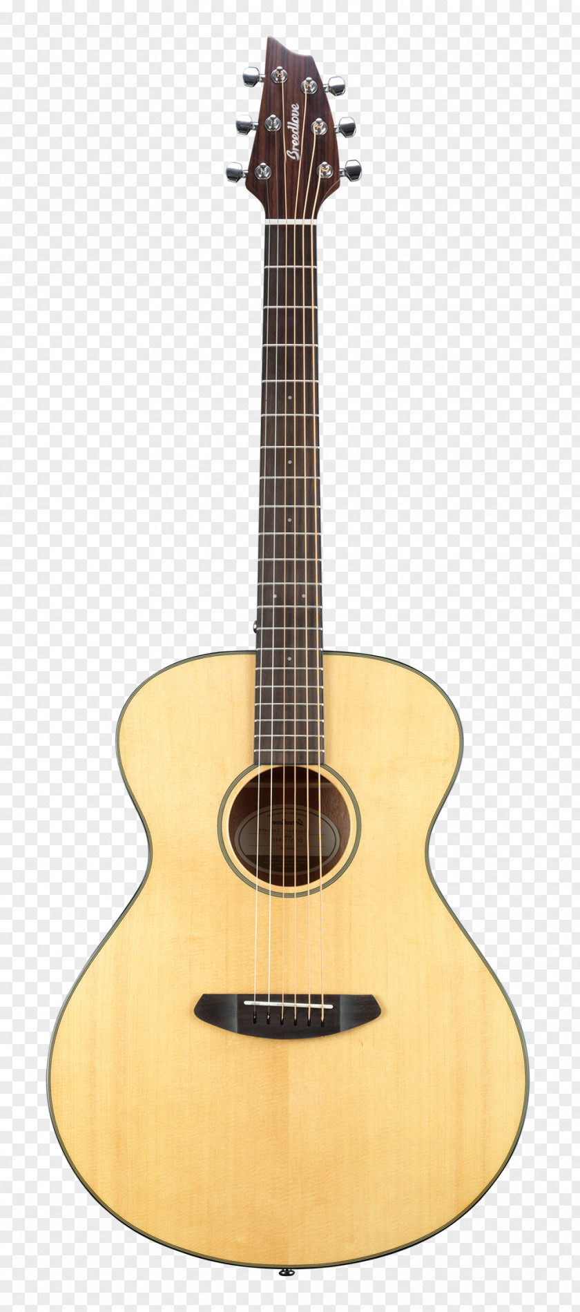 Acoustic Guitar Steel-string Twelve-string Acoustic-electric Dreadnought PNG
