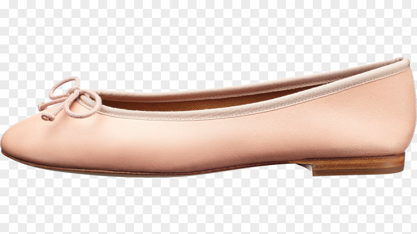 Ballet Flat Dancer Shoe Fashion PNG