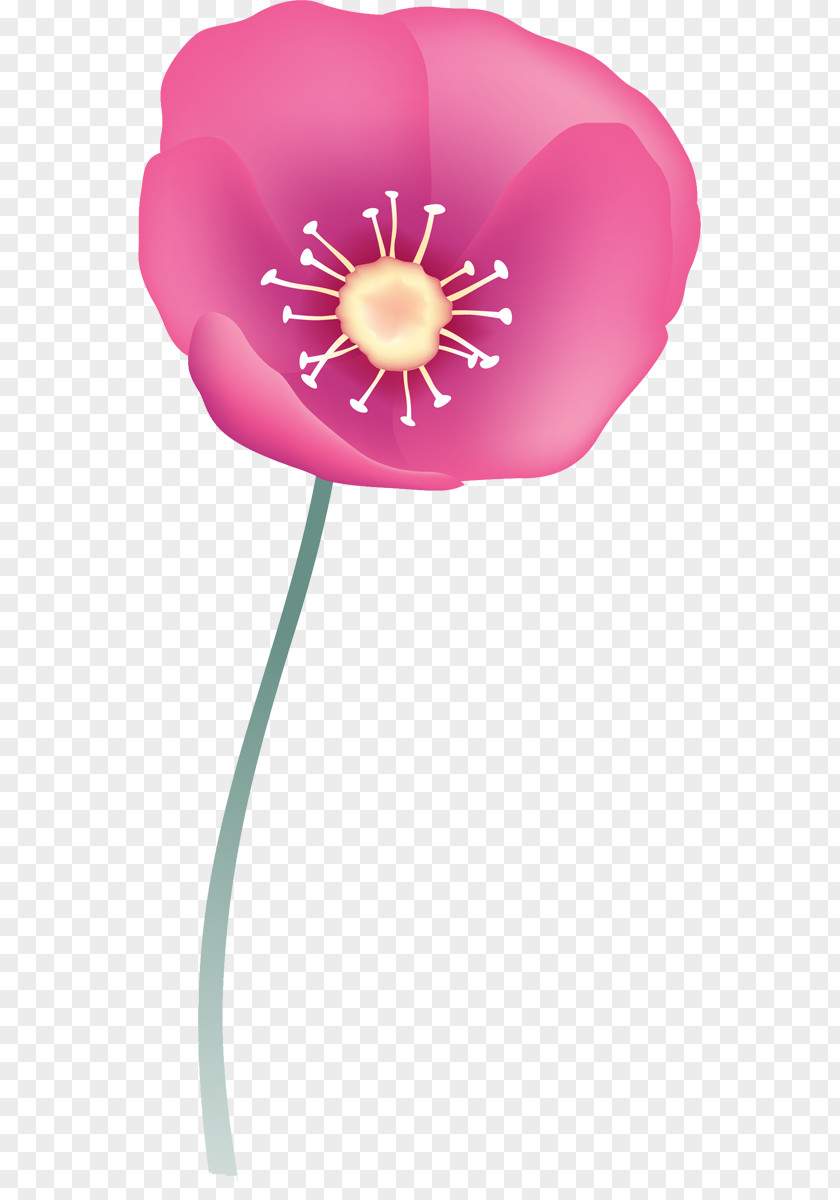 Balloon Birthday Clip Art PNG