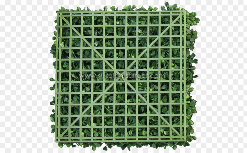 Boxwood Mosaic Garden Glass Tile Bathroom PNG