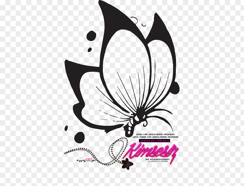 Design Clip Art Image Butterfly Drawing PNG