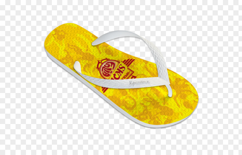 Design Flip-flops Shoe PNG