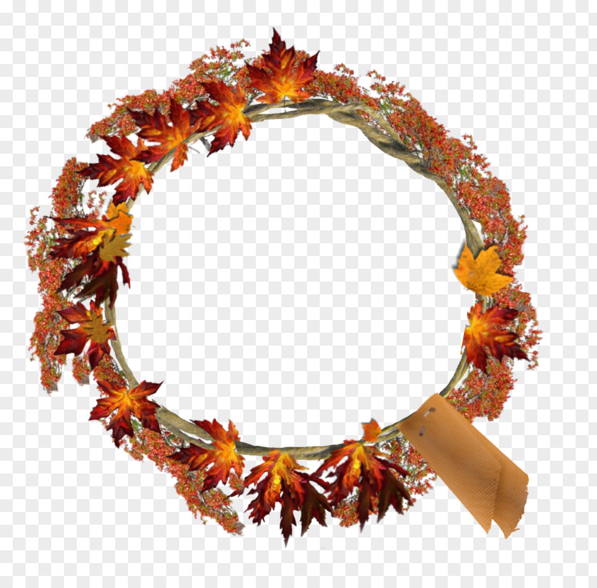 Garland Frame Wreath Lei Shadow Koosh Ball PNG