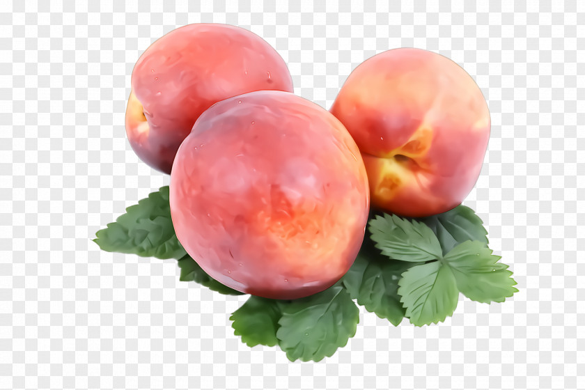 Plum Nectarines European Peach Fruit Plant Food PNG