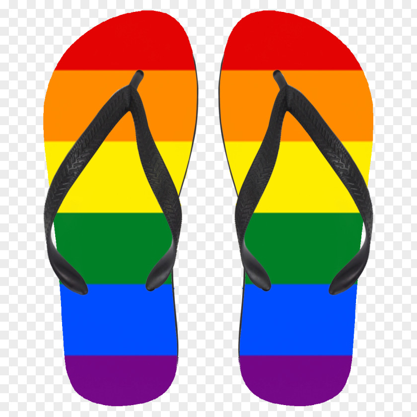 Sandal Flip-flops Shoe Rainbow Sandals Sock PNG