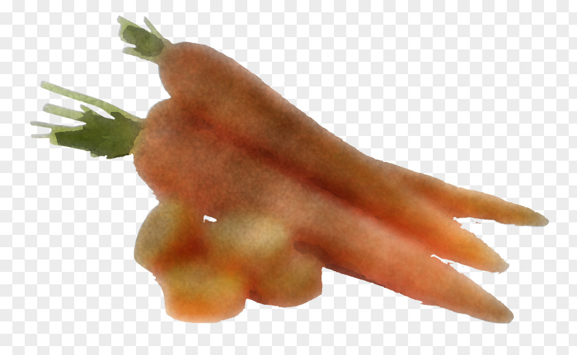 Carrot Asparagus Hand Finger Vegetable PNG
