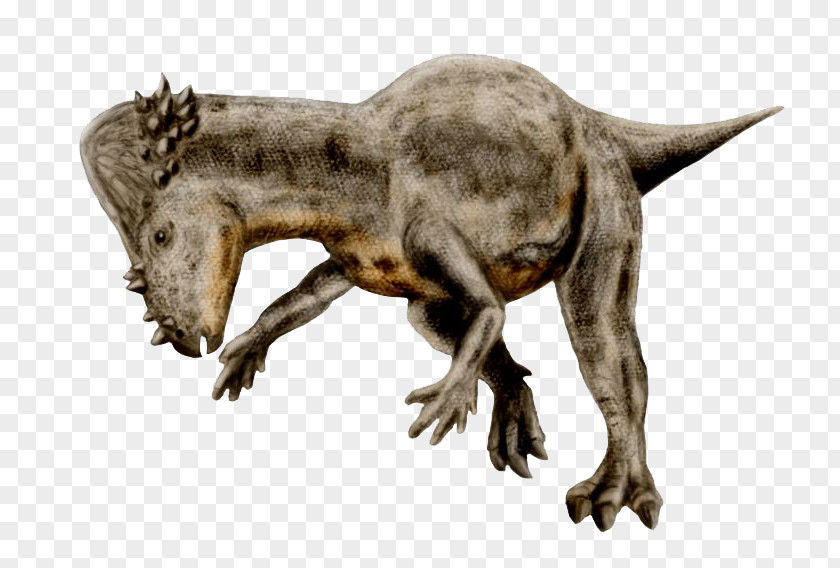 Dinosaur Pachycephalosaurus Cretaceous–Paleogene Extinction Event Stegosaurus Tyrannosaurus PNG