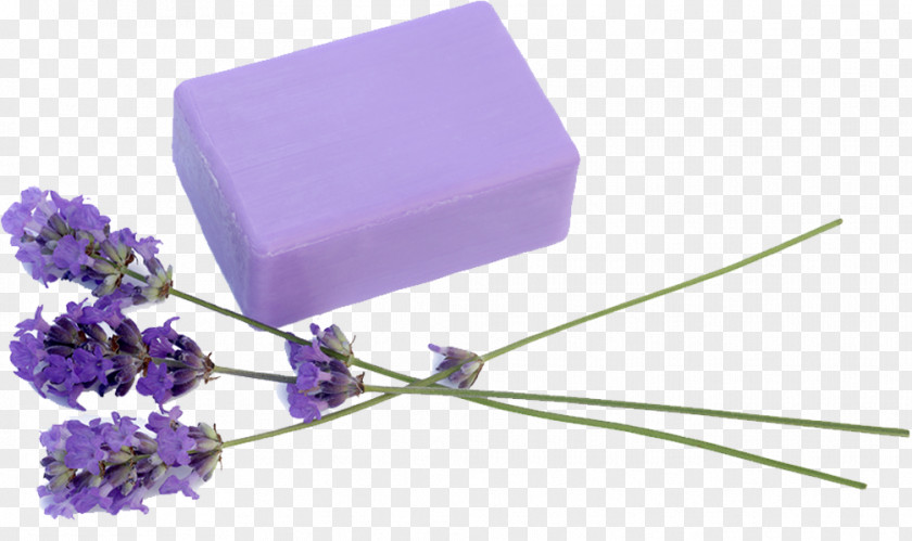 Lavender Soap English U624bu5de5u7682 Sticker Decal PNG