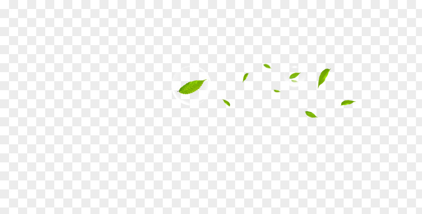 Leaves Angle Pattern PNG