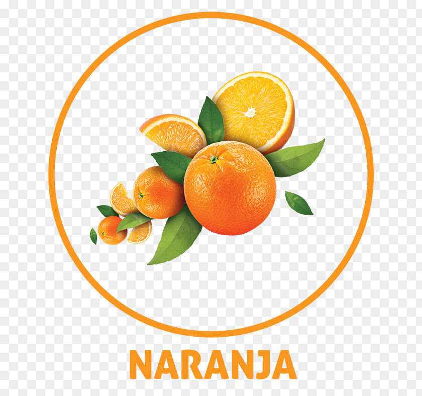 Mexican Carbonated Beverages Tangerine Orange Drink Juice PNG