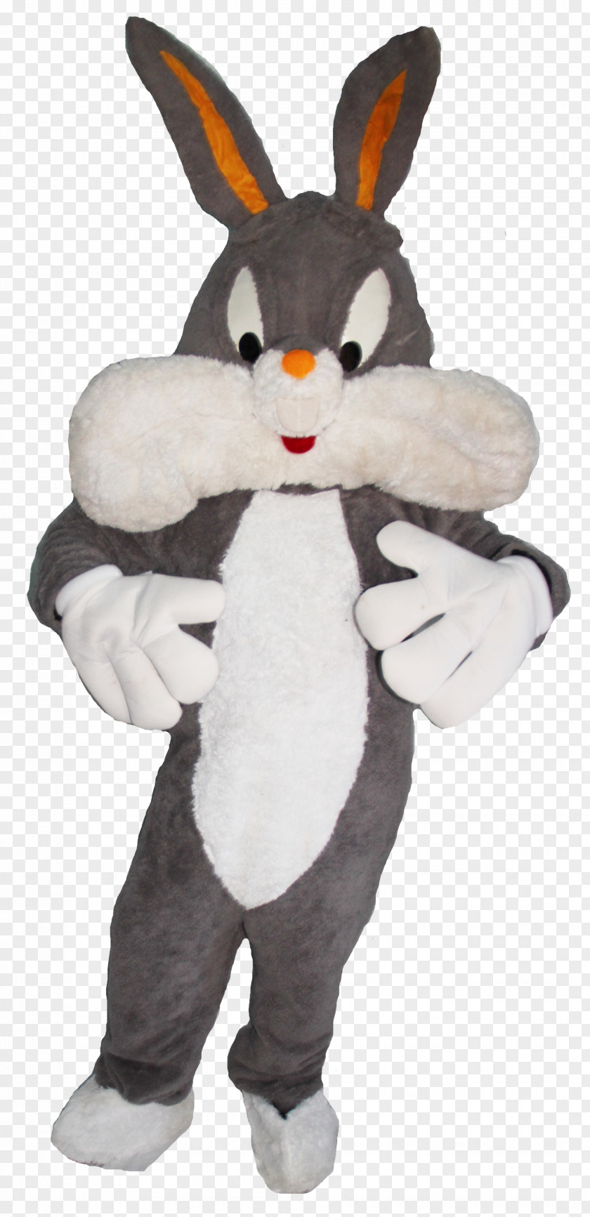 Rabbit Domestic Easter Bunny Mascot Costumed Character PNG