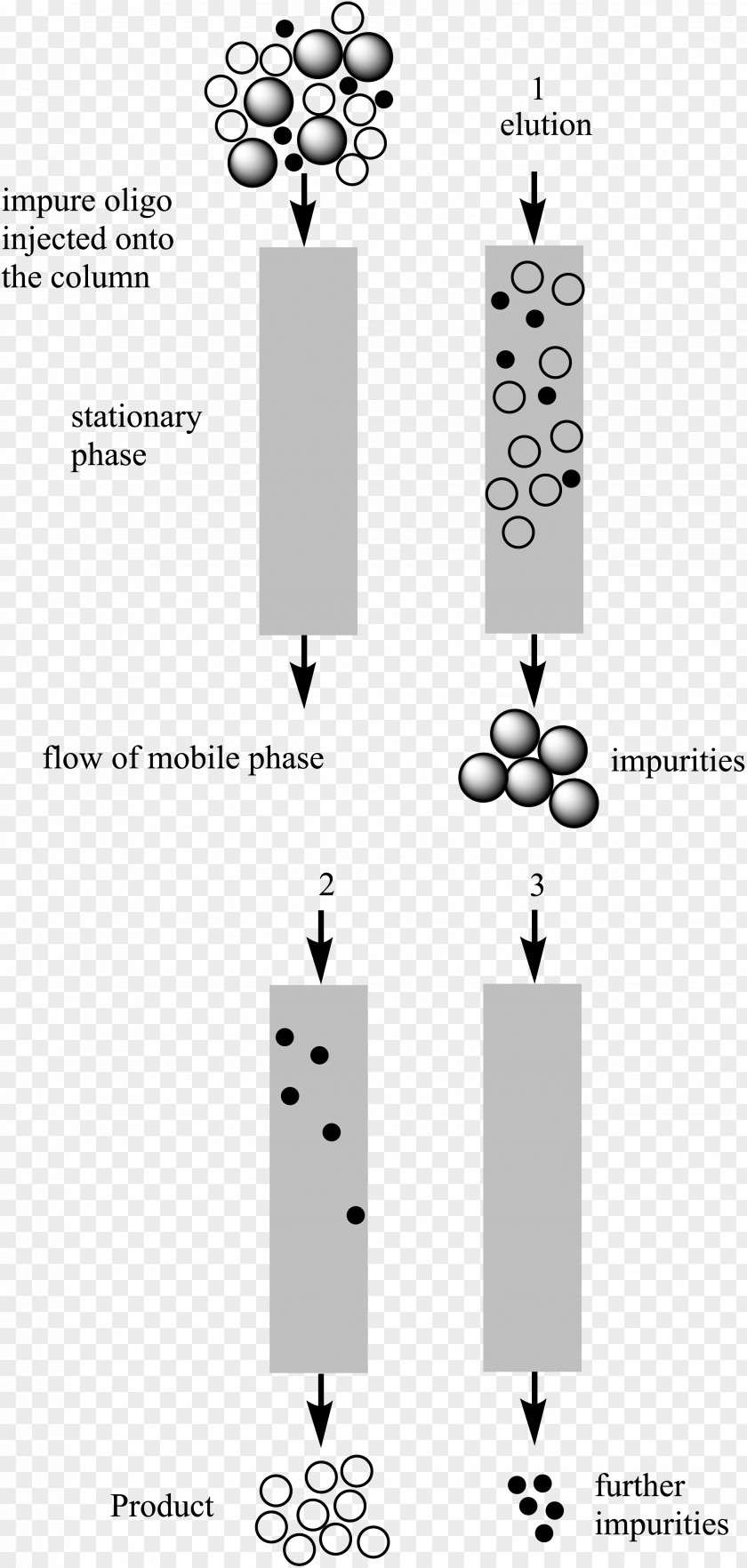 Reversed-phase Chromatography High-performance Liquid Hydrophilic Interaction Adsorption PNG