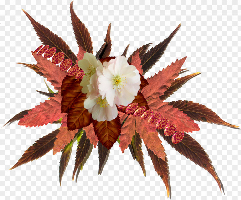 Autumn Flower PNG