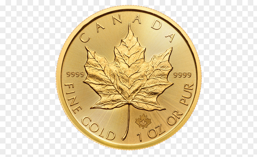 Canada Canadian Gold Maple Leaf Bullion Coin Silver PNG