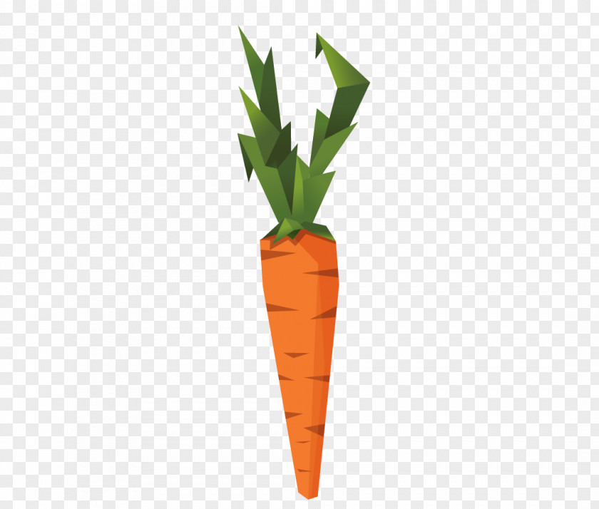 Carrot Creative Vector Vegetable Euclidean Radish PNG