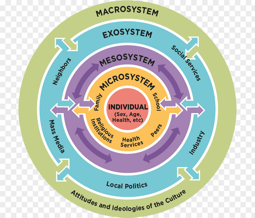 Ecological Systems Theory Brand Font Recreation Product PNG