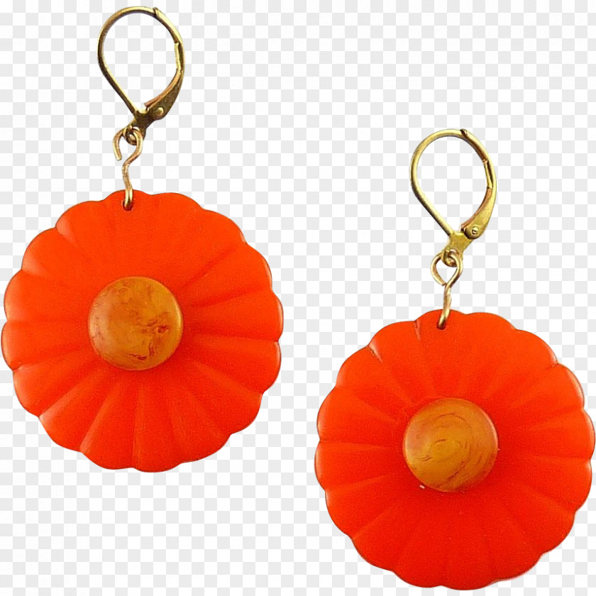 Flower Daisy Earring PNG