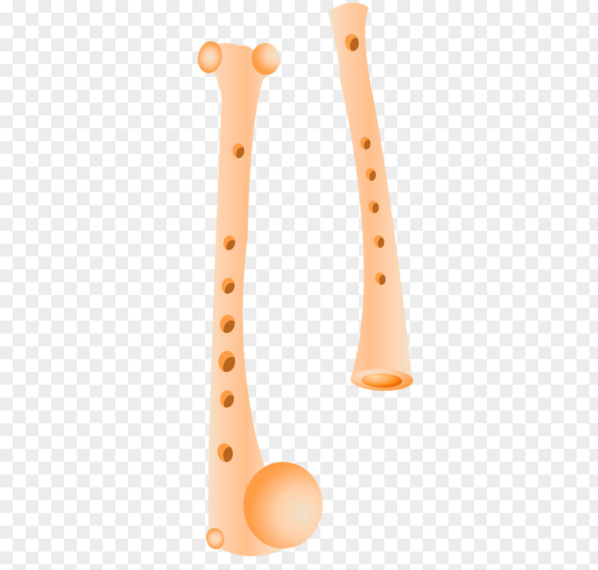 Hand-painted Flute Musical Instrument Dizi PNG
