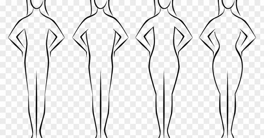 Shape Female Body Human Woman Waist PNG