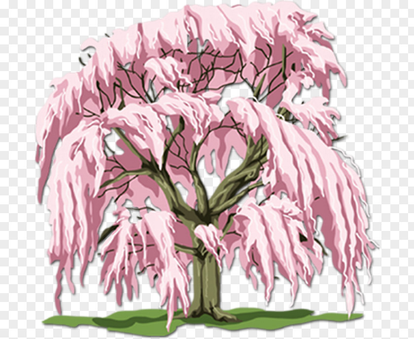 Tree Branch Cherry Blossom PNG