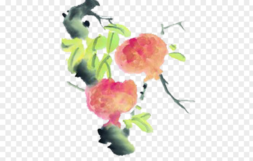 Tree Pomegranate Ink Painting Wash Fruit PNG