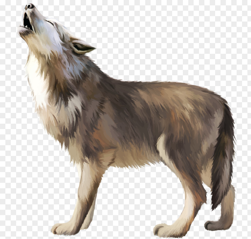 Wolf Gray Icon PNG