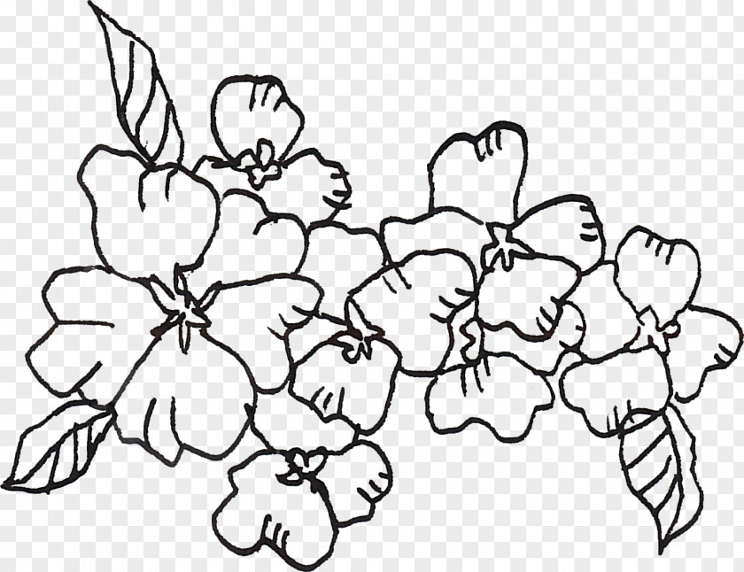 Flower Drawing Line Image Art Floral Design PNG