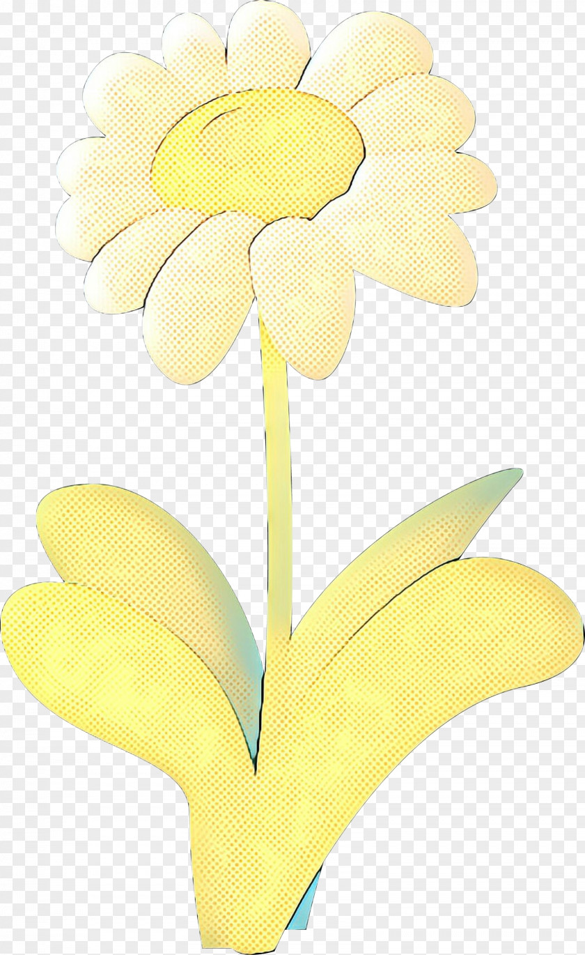 Pedicel Mayweed Flowers Background PNG