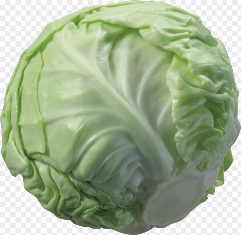 Cabbage Image Cauliflower Vegetable Broccoli PNG