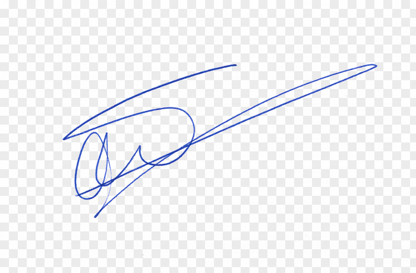 Signature Line Angle PNG