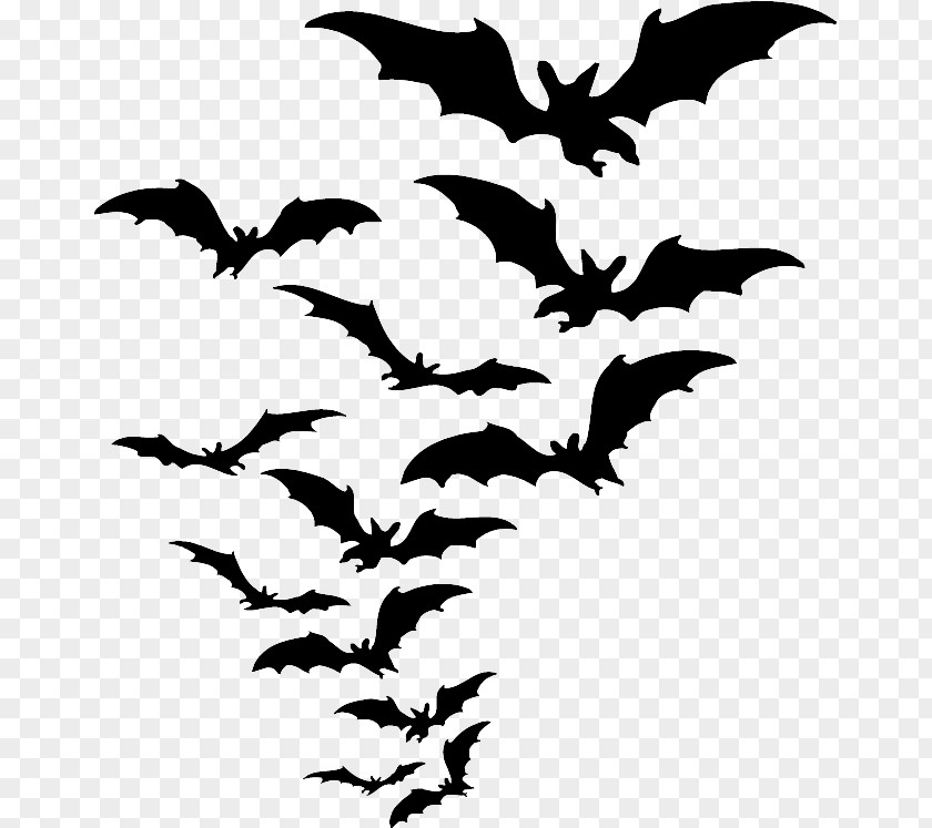 Bats Clip Art Batman Loonatic Image PNG