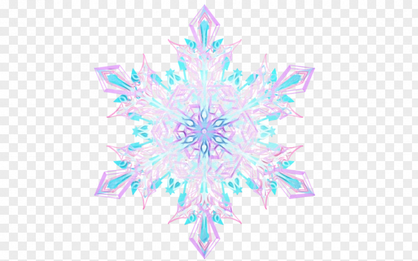 Symmetry Fractal Art Snowflake Cartoon PNG