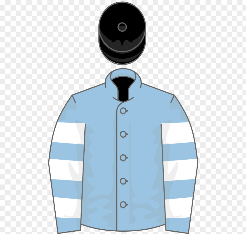 Thoroughbred Sadler's Wells Jockey Horse Racing Silks PNG