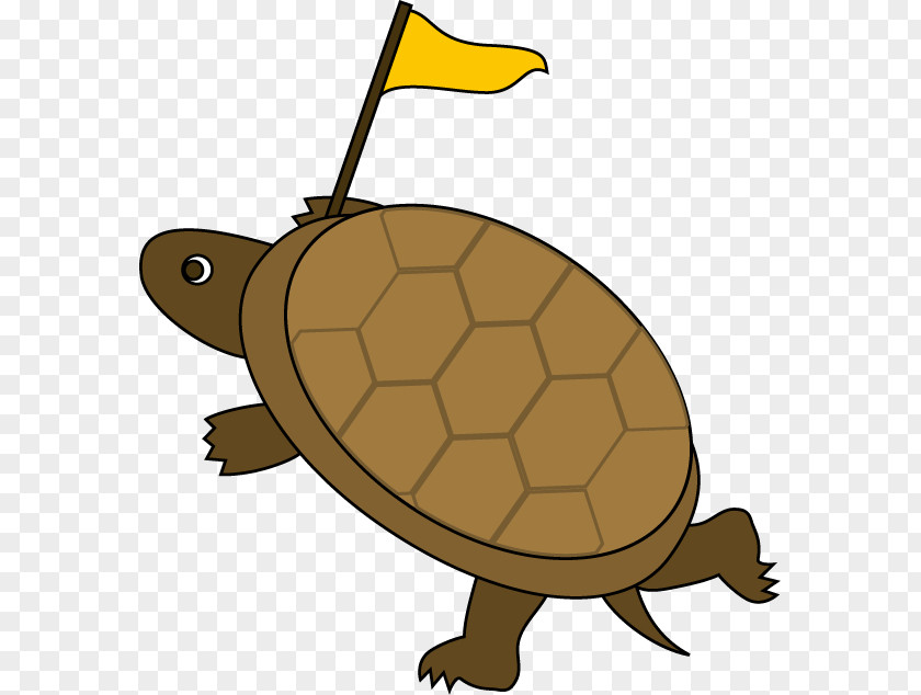 Tortoise Clipart The And Hare Turtle Sea Otter Clip Art PNG